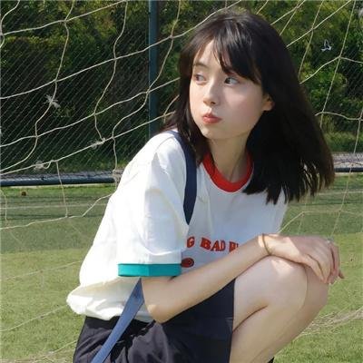 完美伴侣