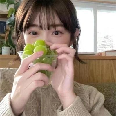 恋恋飞翔
